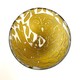 Owl_1_copy-blog_thumb