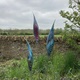 Img_8007-blog_thumb