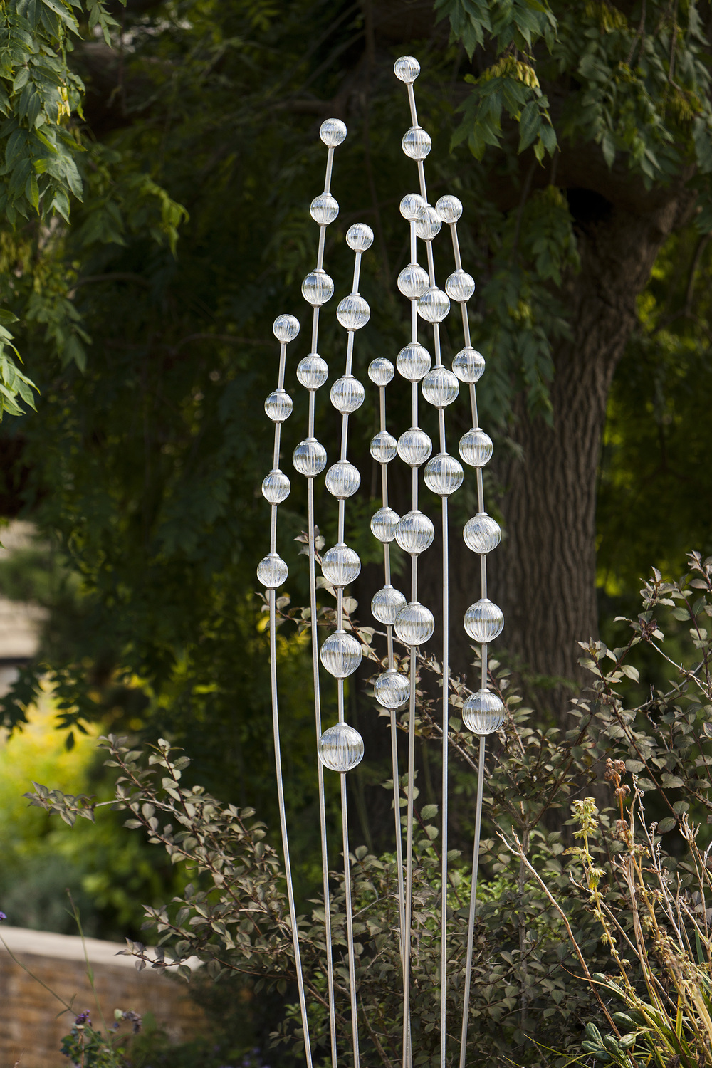 Perenial-7-pole-clear-banner